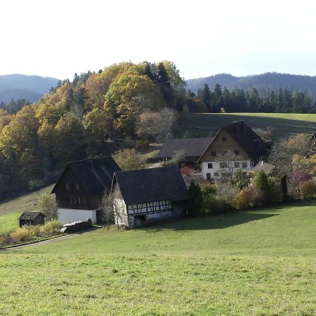 Ferienwohnung Hofenhof Schiltach Extérieur photo